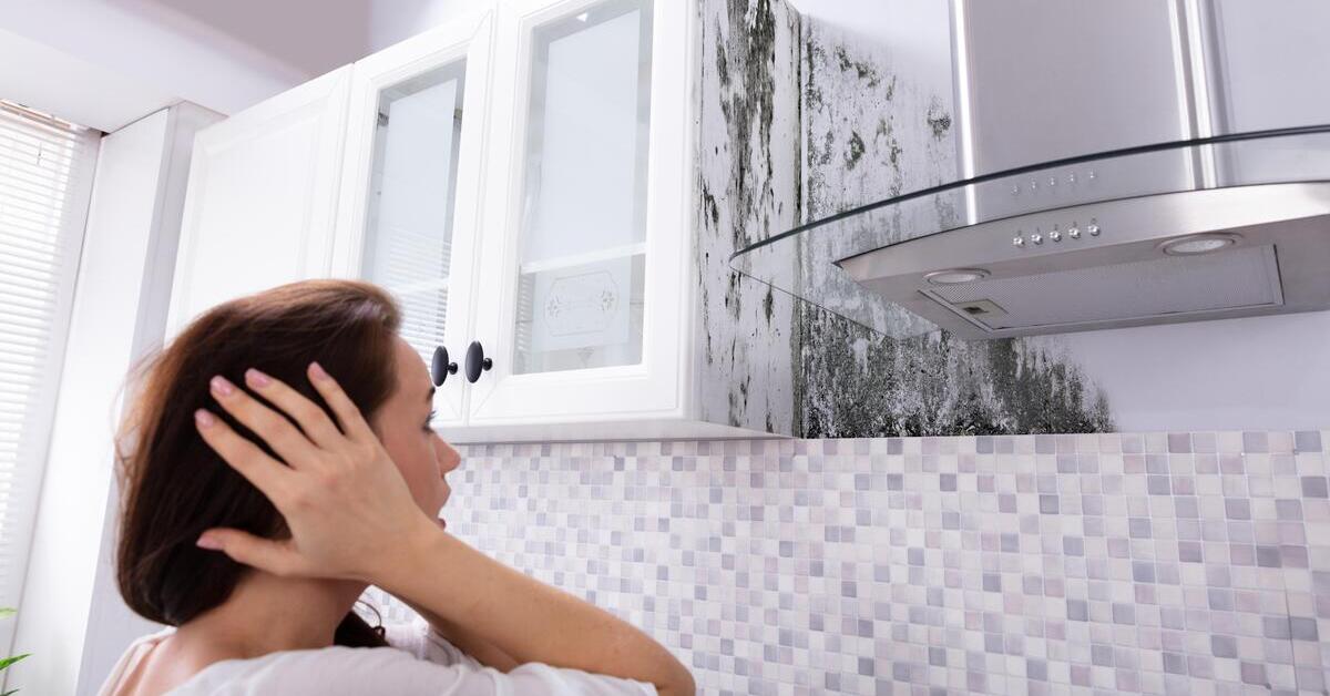 Ultimate Guide on How to Prevent Common Kitchen Cabinet Damage
